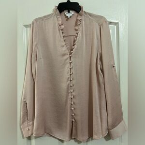 Express Blush Button-Down Blouse